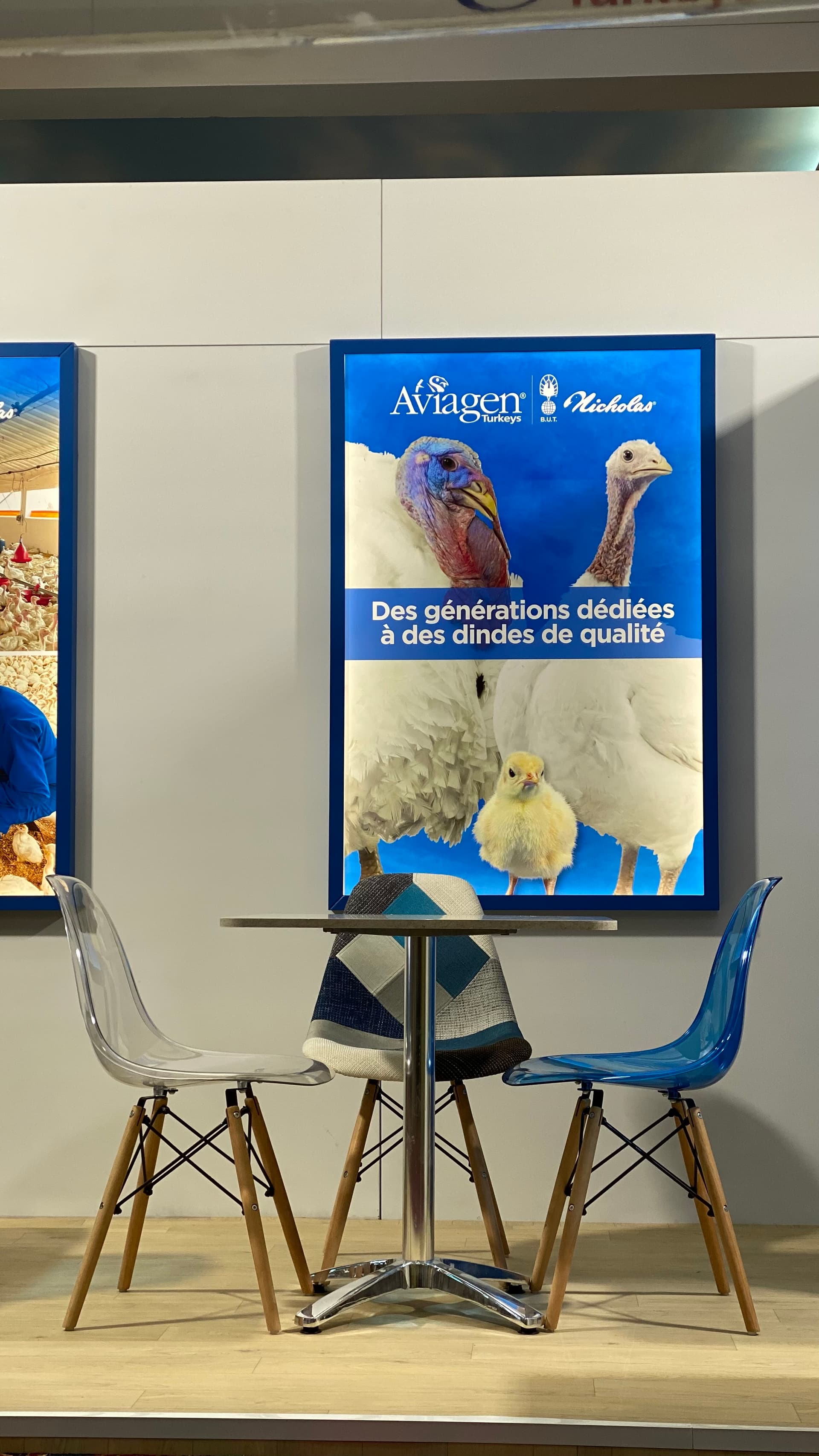 Aviagen — PAMED 2026, Tunisia